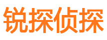 横峰出轨调查